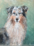 Honden Foxy 9 jaar 50x40cm